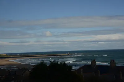 DSC_7230 (Large).JPG